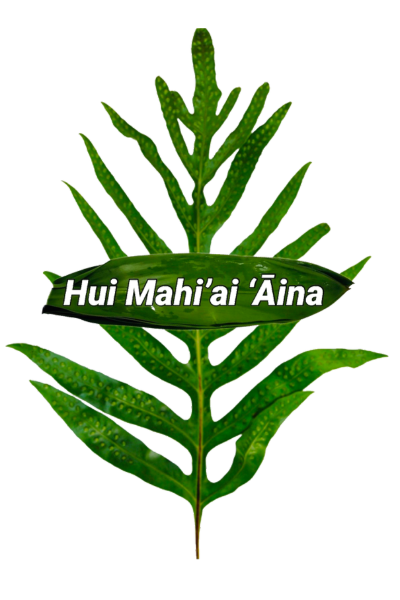 Hui Mahi‘ai ‘Āina Leaf